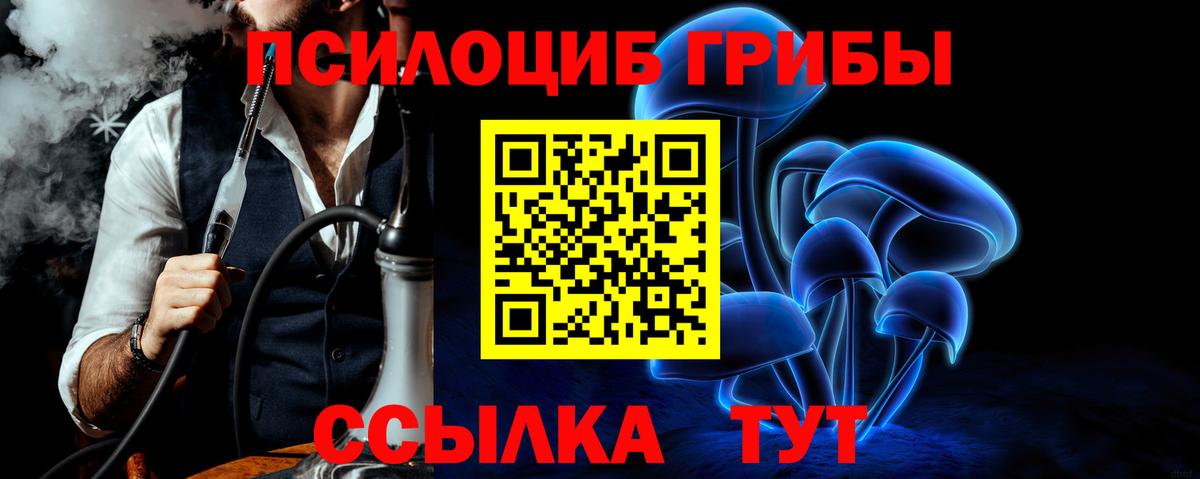 Трёхгорный  продажа наркотиков  Галлюциногенные грибы GOLDEN TEACHER  Вход с VPN  Псилоцибиновые грибы GOLDEN TEACHER 